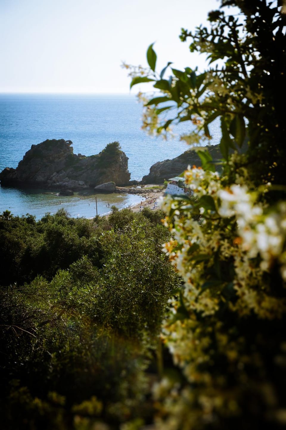 Sea view