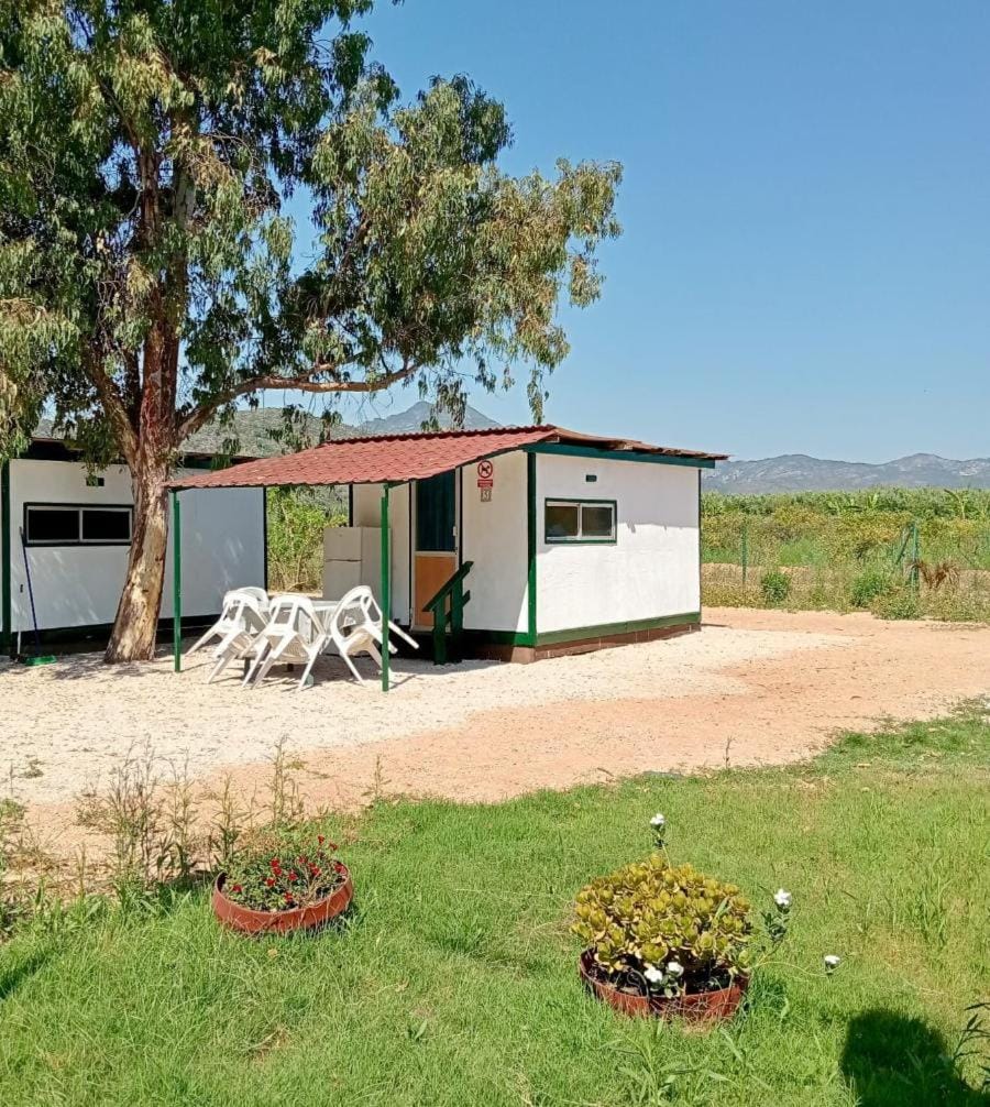Camping la Naranja Campground/ 
RV Resort in Safor