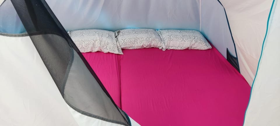 Bed, Photo of the whole room