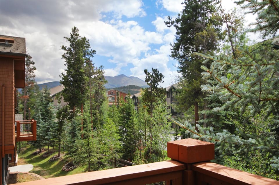 Mountain Thunder M701 House in Breckenridge