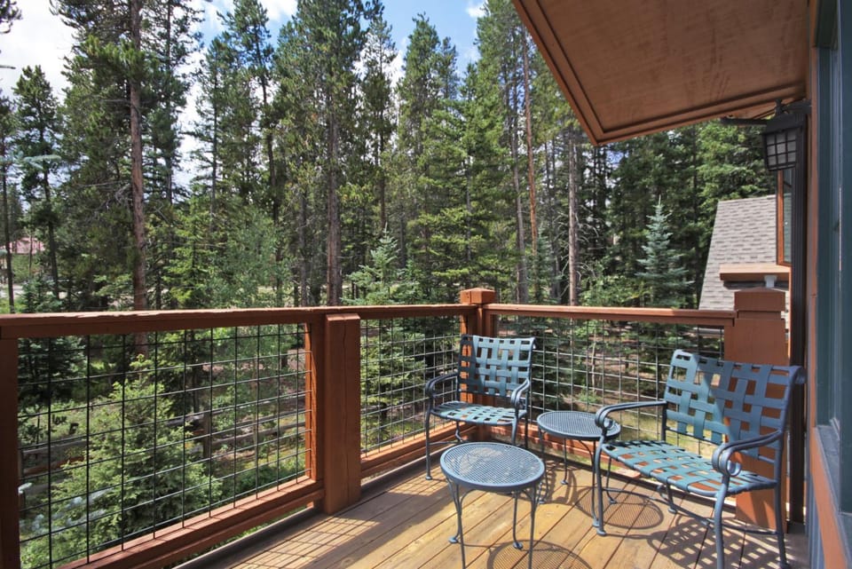 Mountain Thunder M701 House in Breckenridge