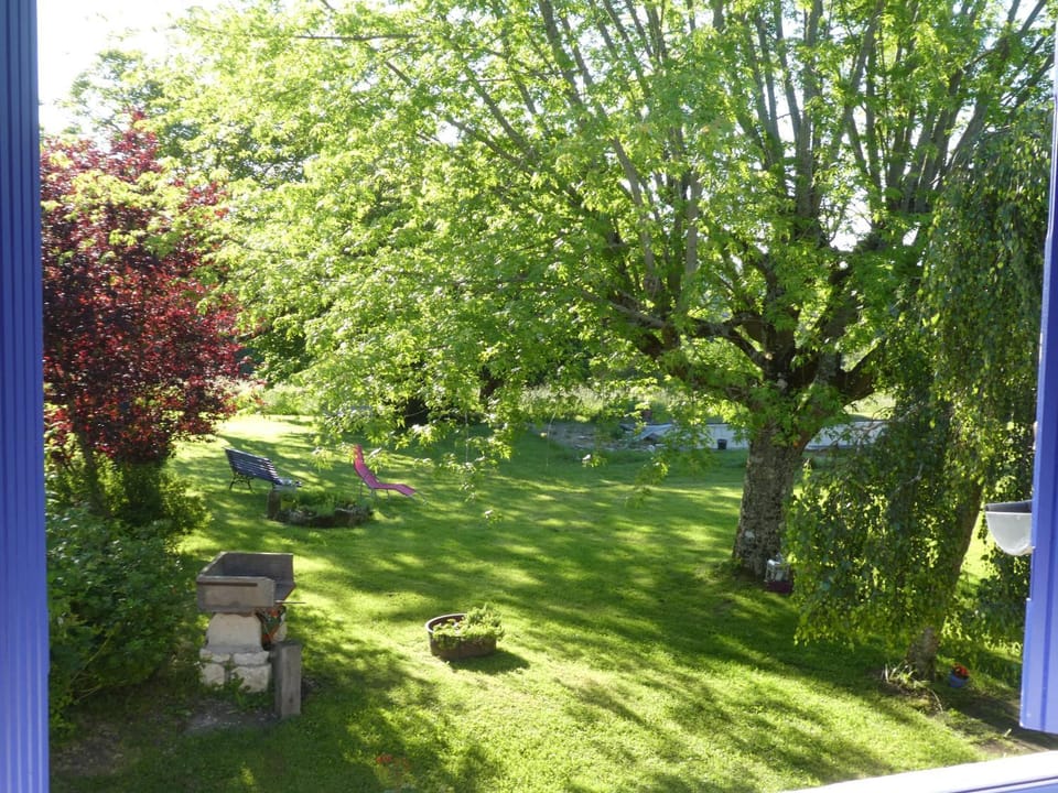 Day, Natural landscape, Garden, Garden view