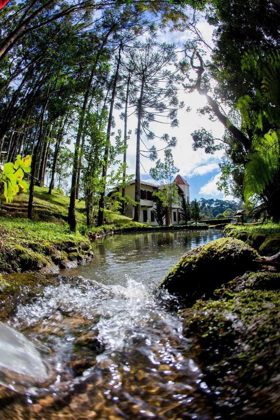Natural landscape, Garden