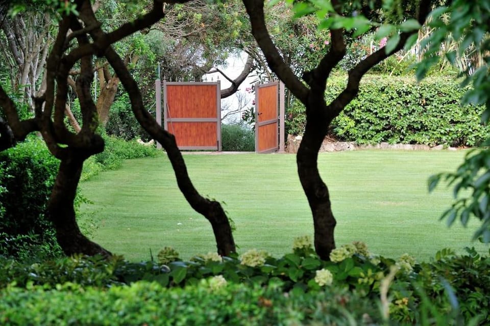 Garden, Garden view