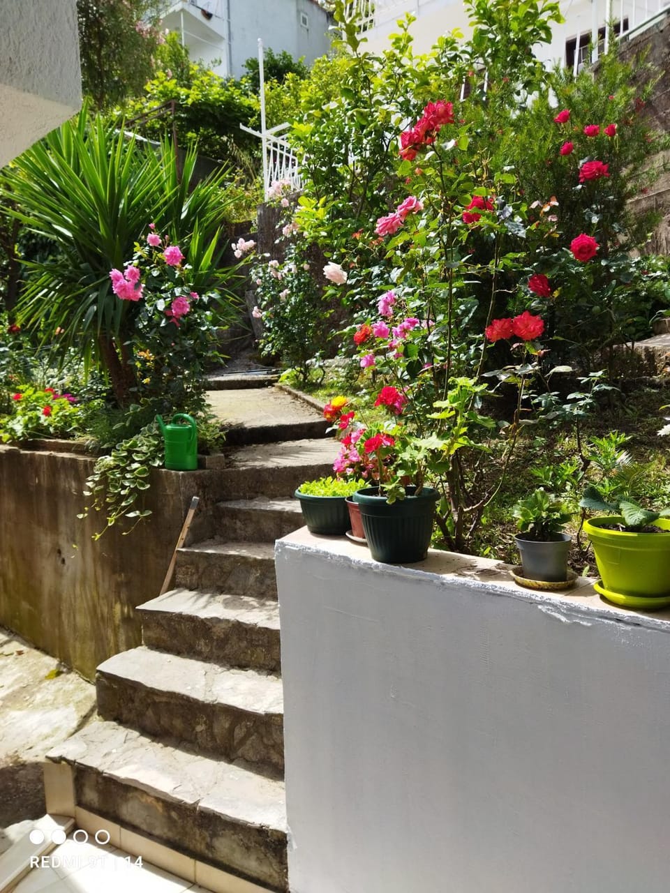 Garden view