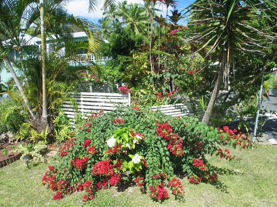Garden view