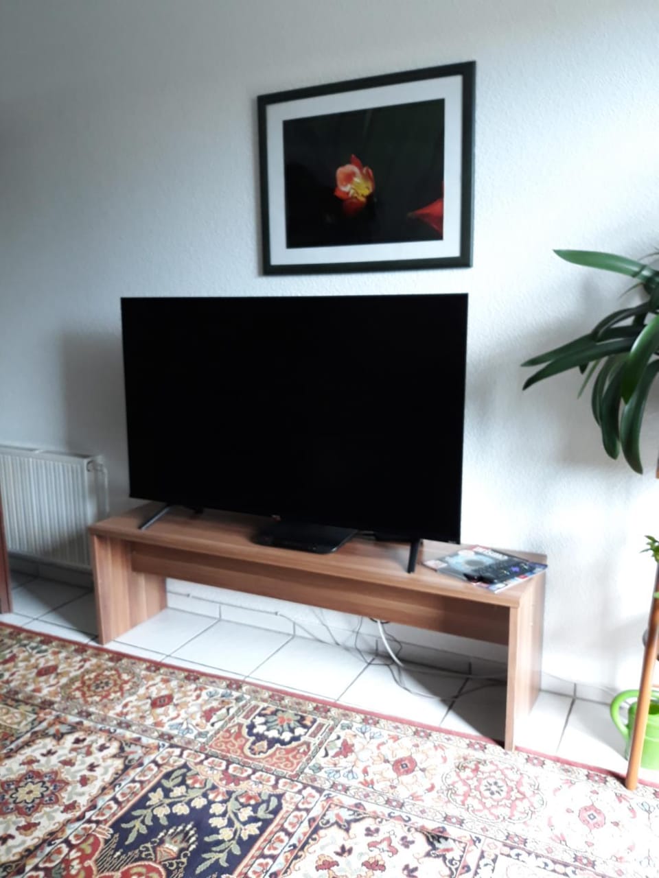 TV and multimedia