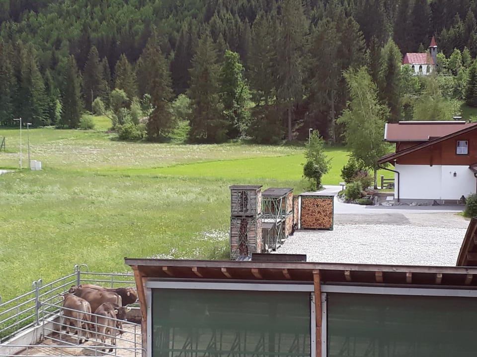 Biobauernhof Vilshof Bed and Breakfast in Tyrol