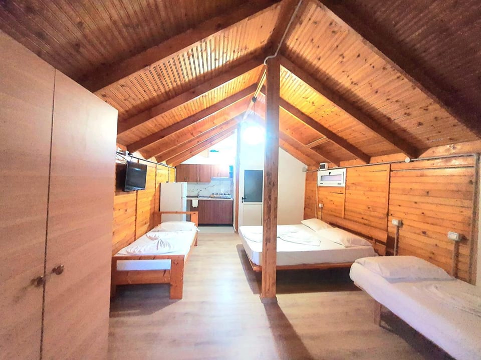 Bed, TV and multimedia, Kitchen or kitchenette, Bedroom, hair dryier, wardrobe, air conditioner, air conditioner