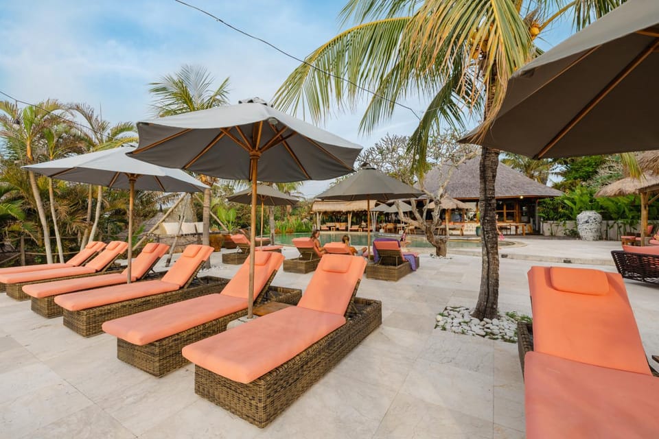 Restaurant/places to eat, sunbed