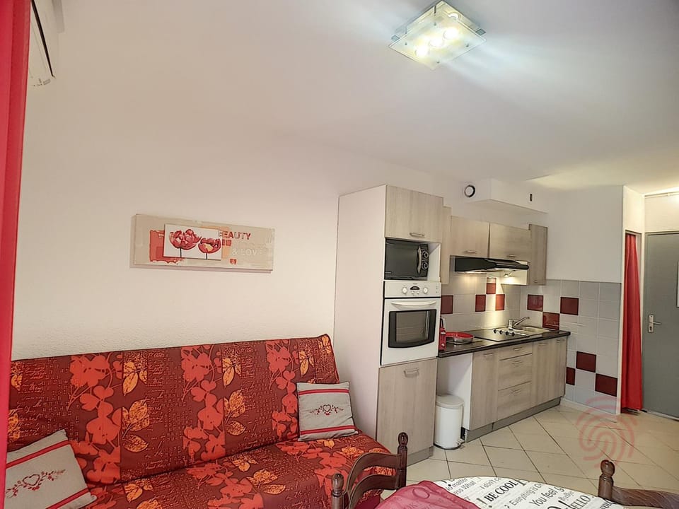 Bel F2 climatisé à 400m du centre, WiFi, animaux acceptés - FR-1-451-22 Apartment in Occitanie