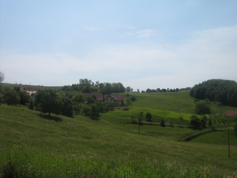 Area and facilities