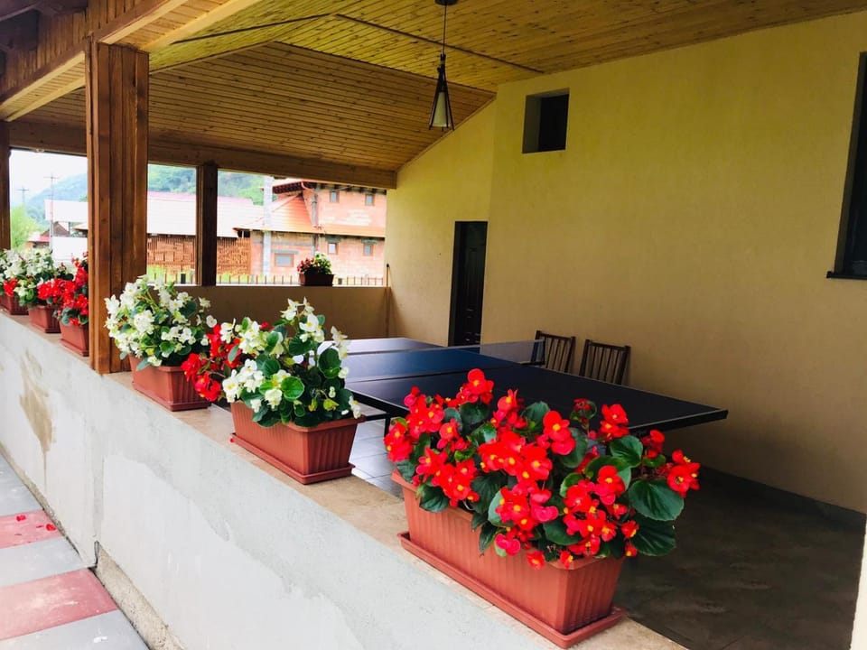 Casa de vacanta Dana Nature lodge in Romania