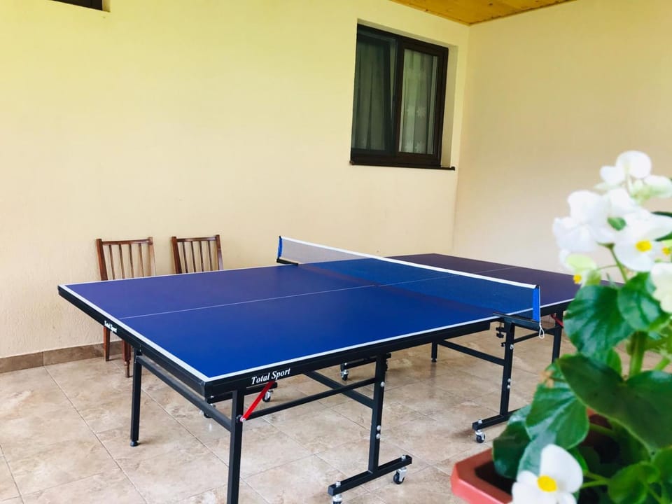 Table tennis