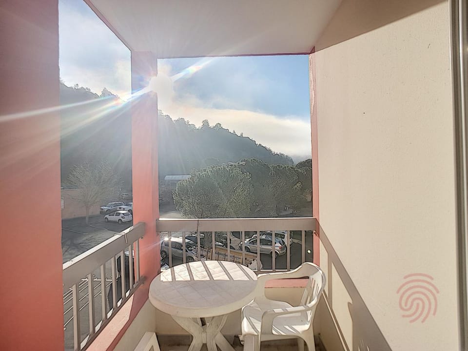 Studio rénové avec balcon, animaux acceptés, wifi, à 650m des Thermes - FR-1-451-92 Apartment in Occitanie