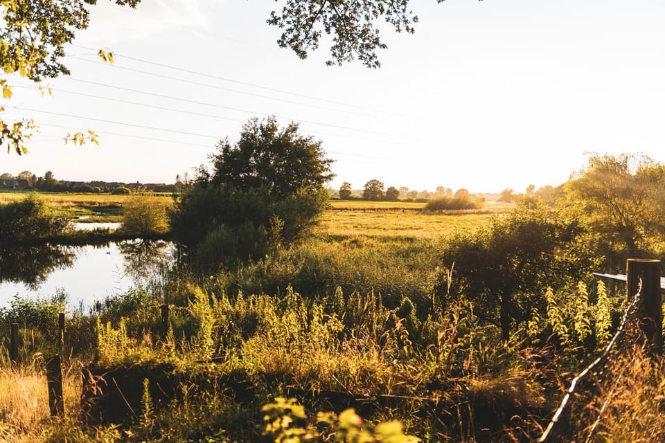 Natural landscape