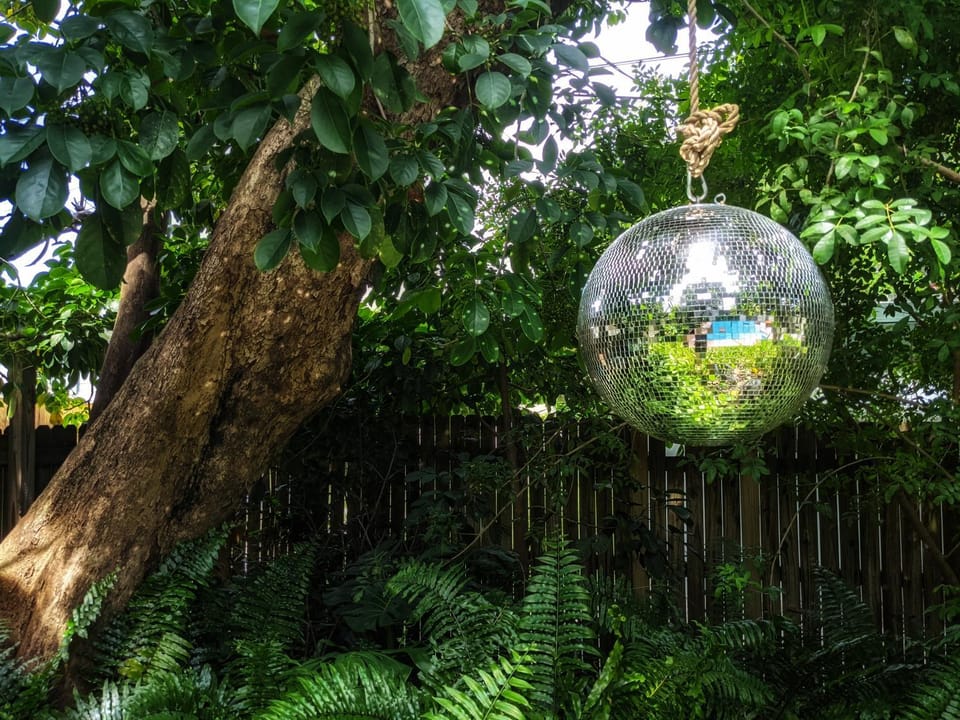 Day, Natural landscape, Garden, Decorative detail