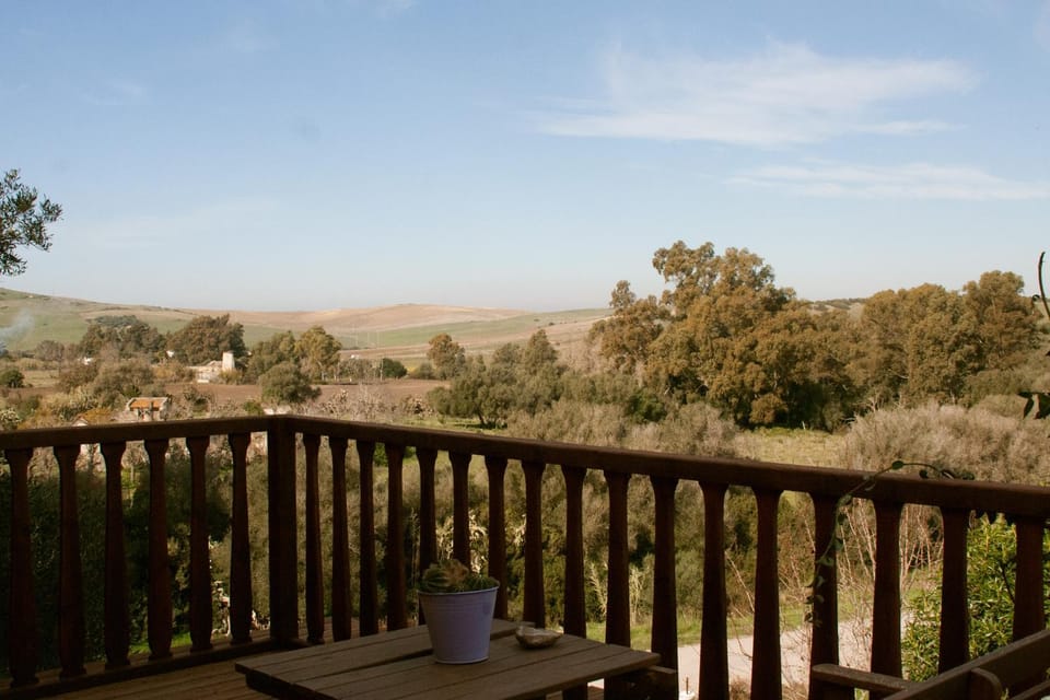 Natural landscape, Balcony/Terrace, On site