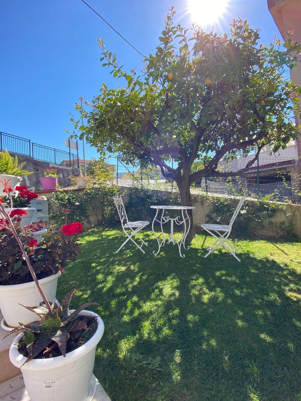 Patio, Garden