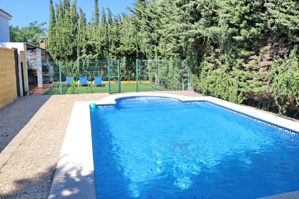 Garden, Swimming pool, sunbed