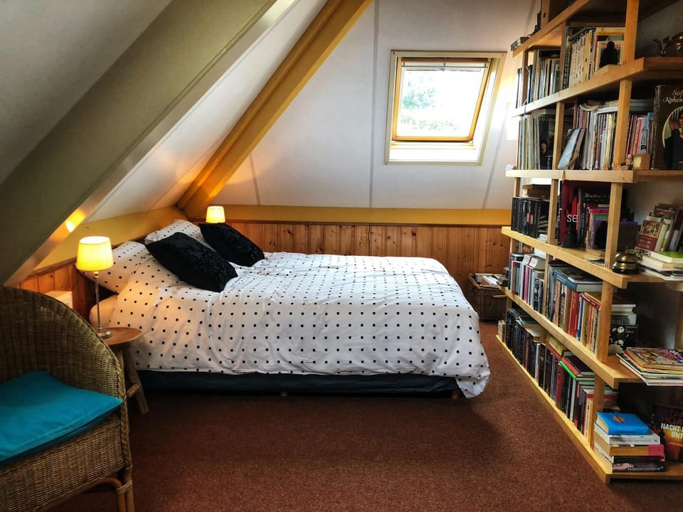 Bed, Library, Photo of the whole room, Bedroom