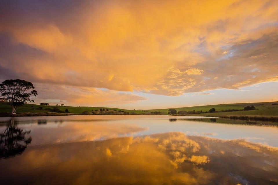 Fishing, View (from property/room)