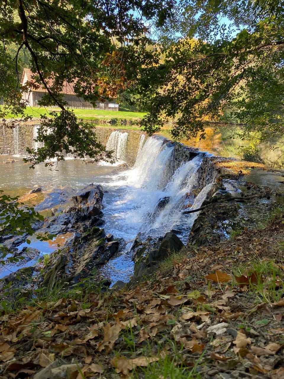 Natural landscape