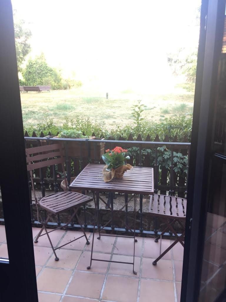 Garden view