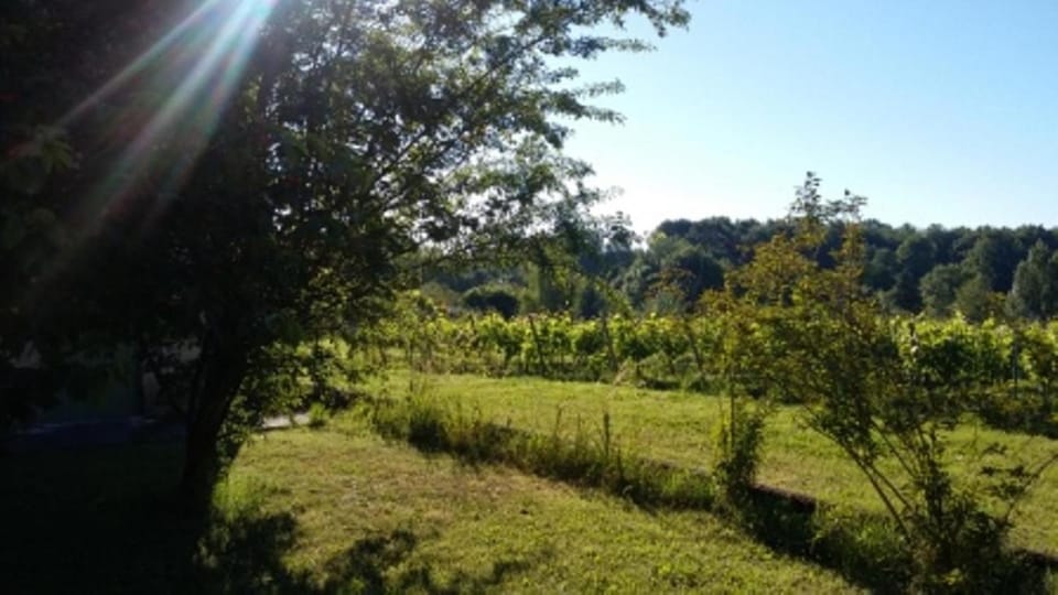 La Petite Auberge Bed and Breakfast in Nouvelle-Aquitaine
