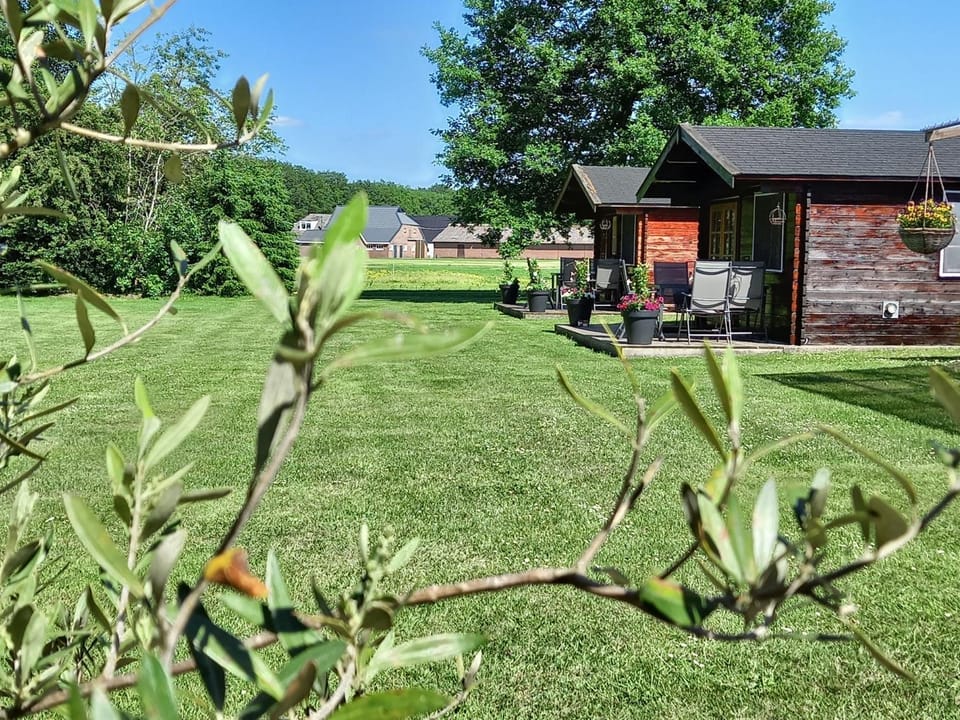 Garden view, Inner courtyard view