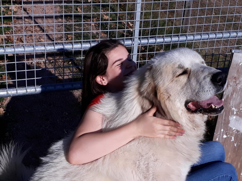 Alpaca-Village Apartment in Ortenau