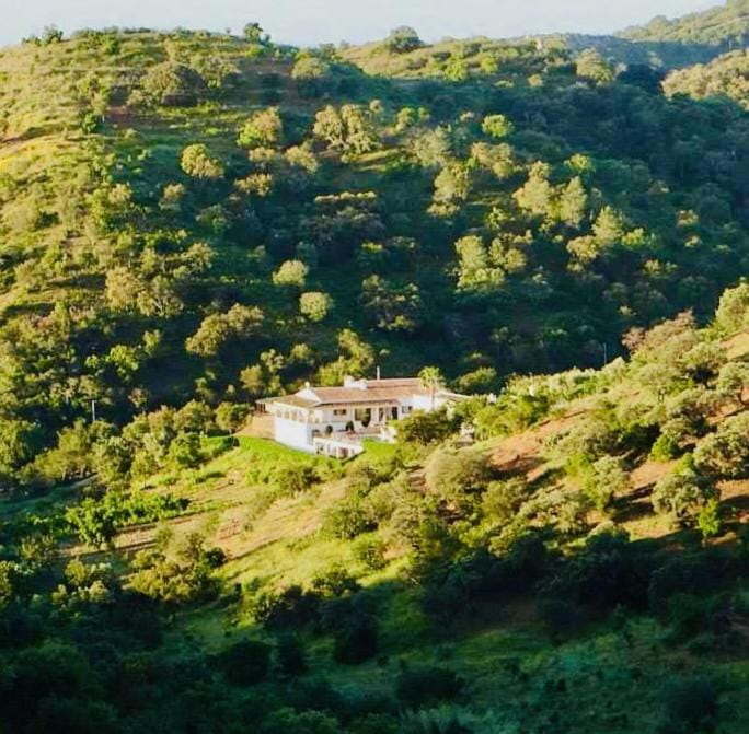 Garden, Tennis court, Hiking, Mountain view