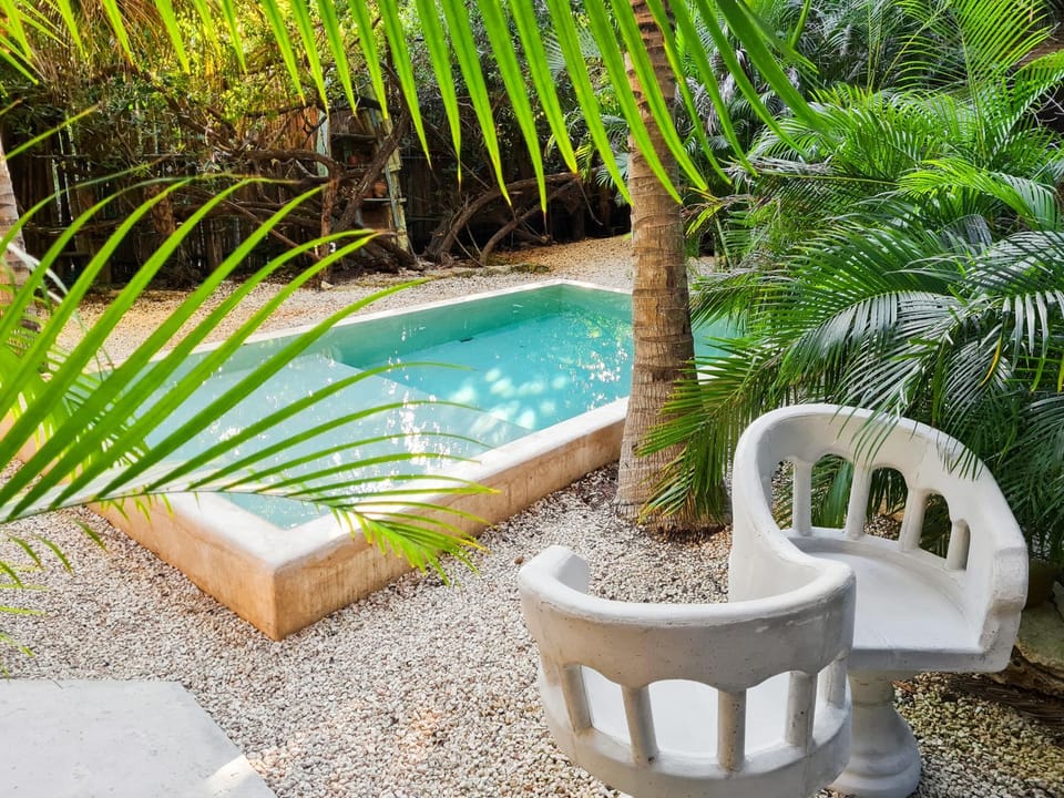 Garden, Swimming pool, Inner courtyard view