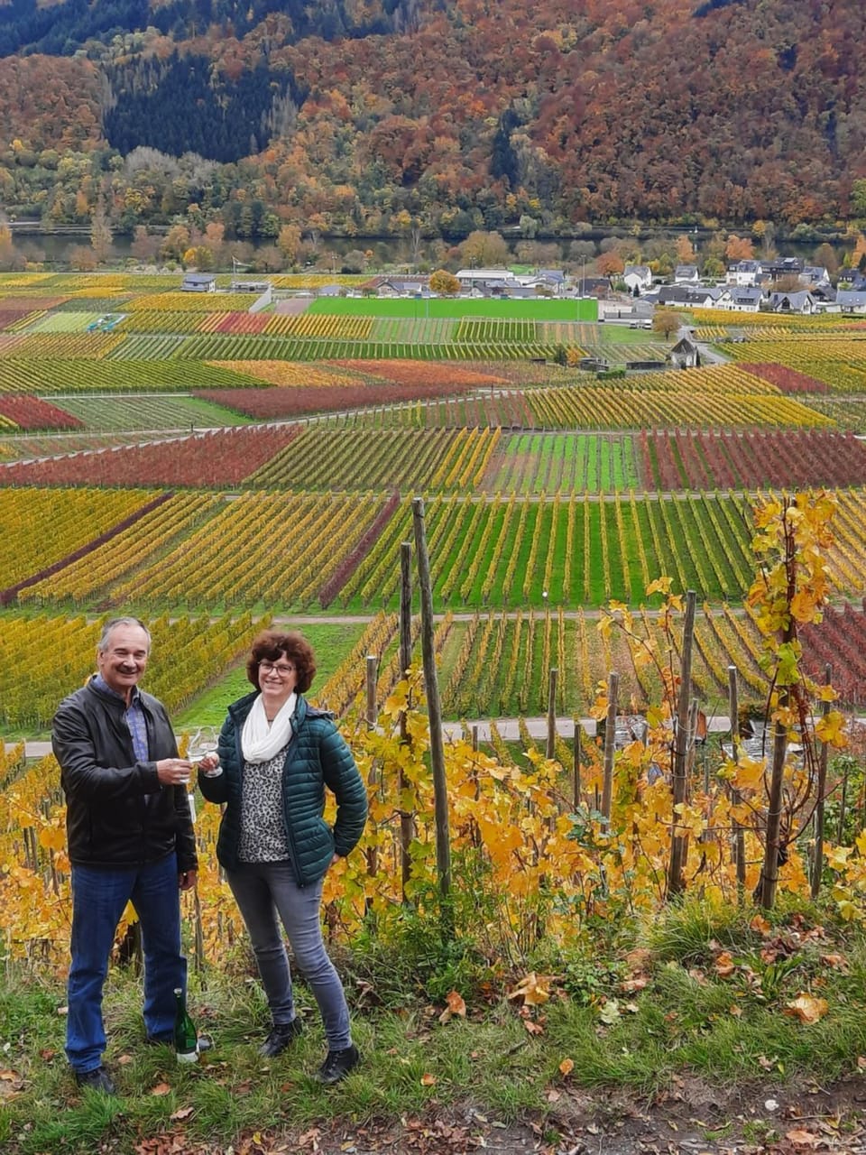 Ferienwohnung Gerhard Lenz Apartment in Cochem-Zell