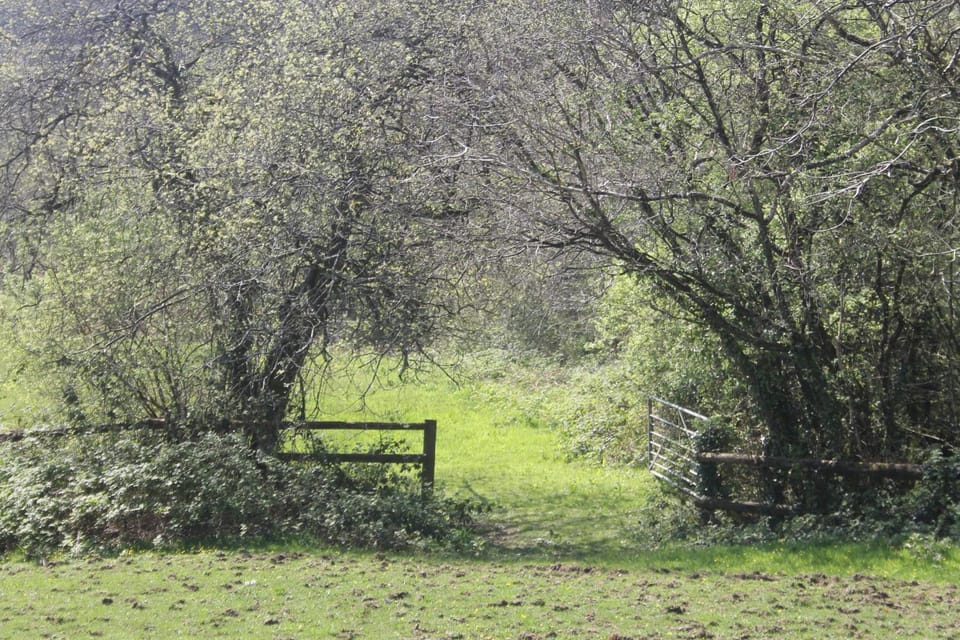 The Valley Static Caravan Chalet in Amroth