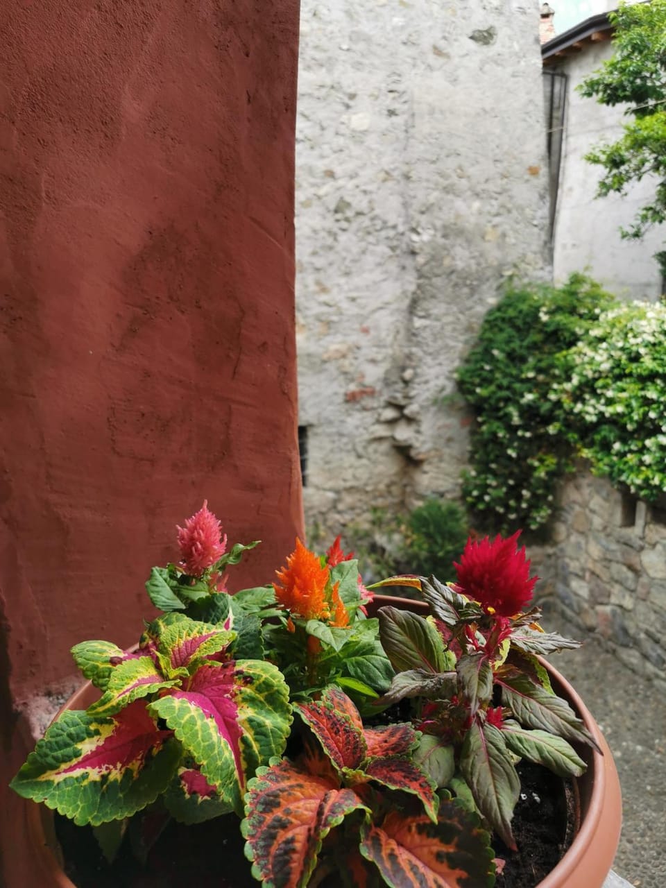 Spring, Garden, Garden view