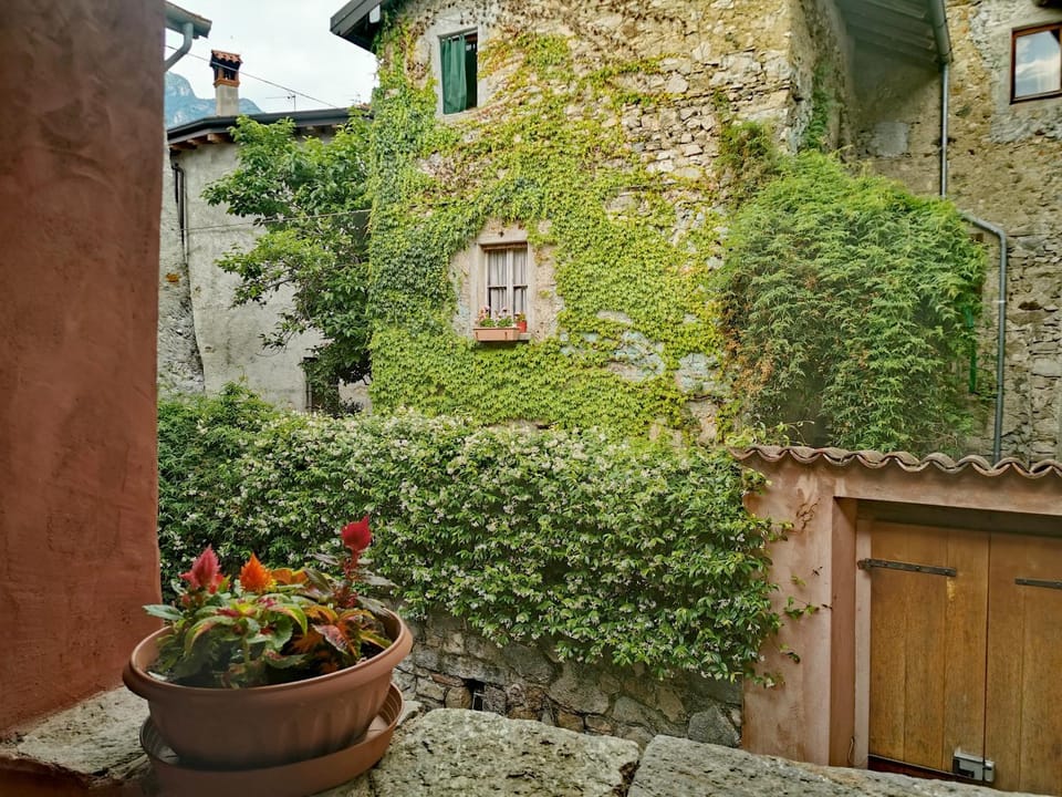 Property building, Garden, Garden view