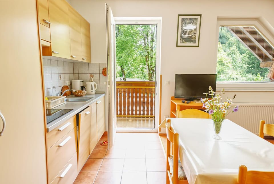 Kitchen or kitchenette, Dining area, stove