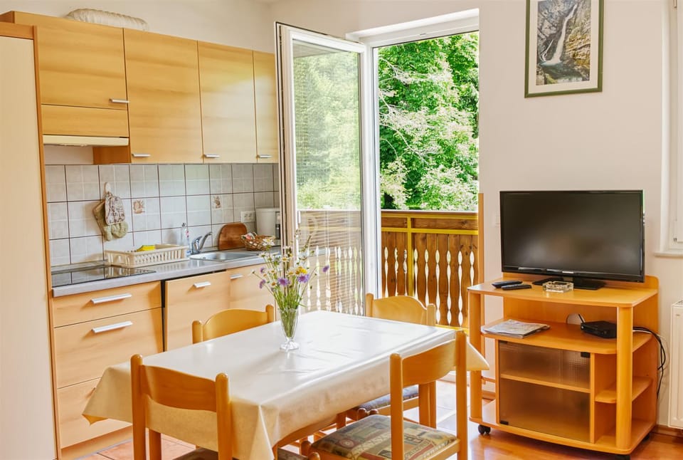 TV and multimedia, Kitchen or kitchenette, Dining area, stove