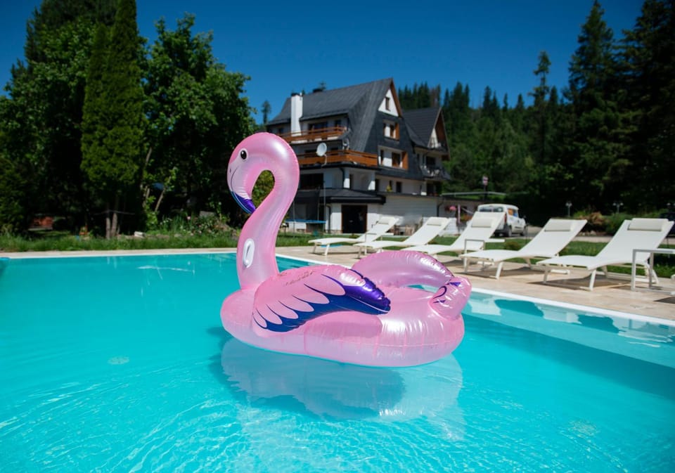 Pool view, Swimming pool, Swimming pool, sunbed