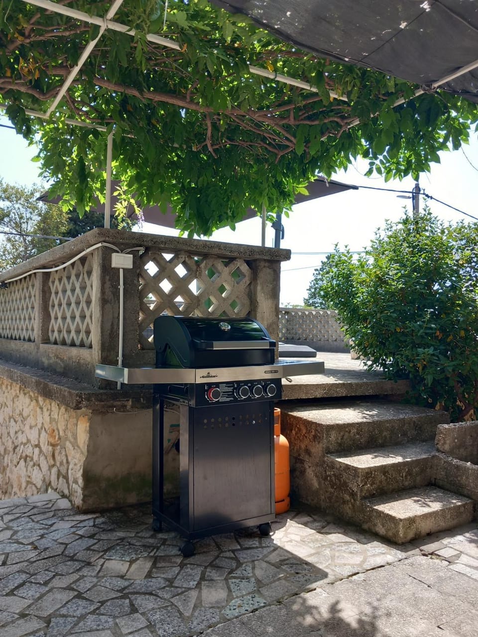 Patio, BBQ facilities