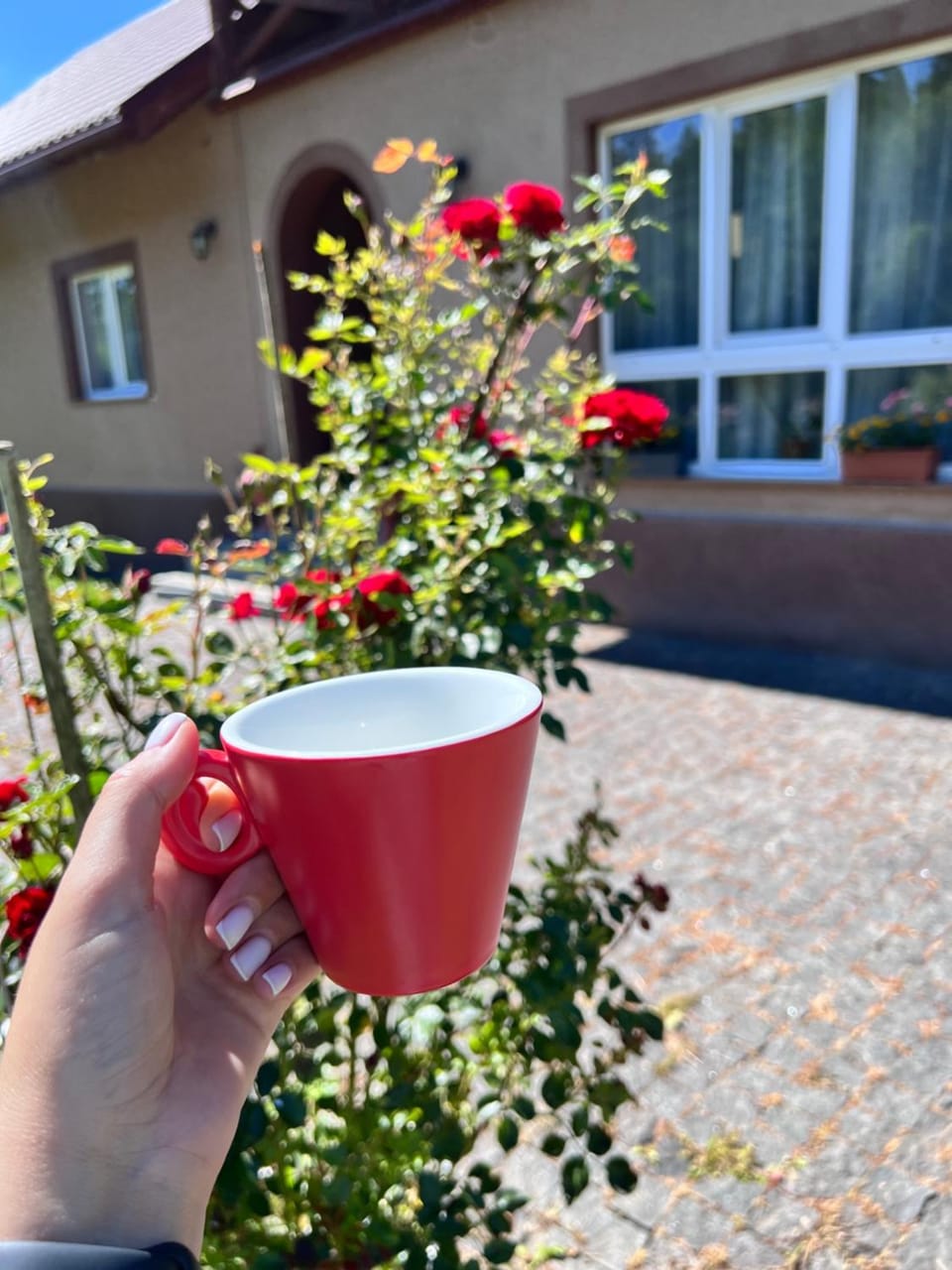 Садиба у Насті Vacation rental in Ukraine