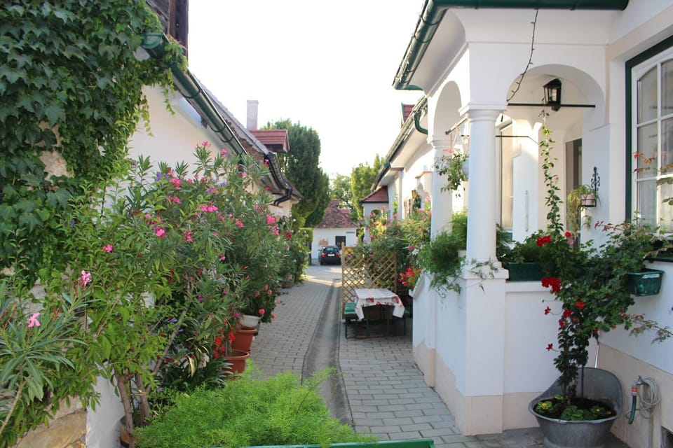Appartement "Blumengassl" Apartment in Hungary