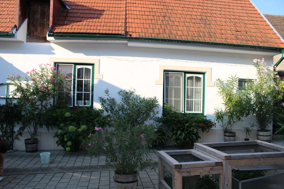 Appartement "Blumengassl" Apartment in Hungary