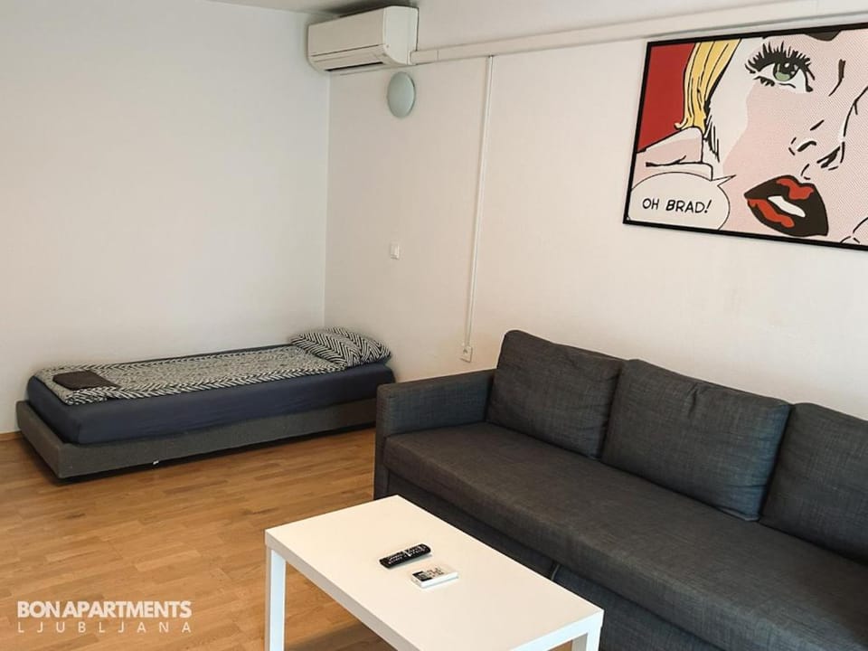 70 square m with balcony+parking+AC Apartment in Ljubljana