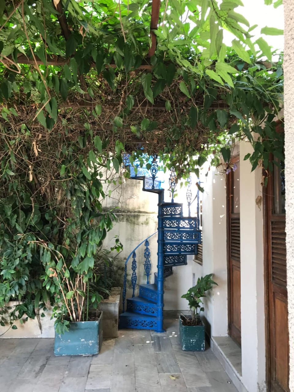 Guest house with stunning view Bed and Breakfast in Rio de Janeiro