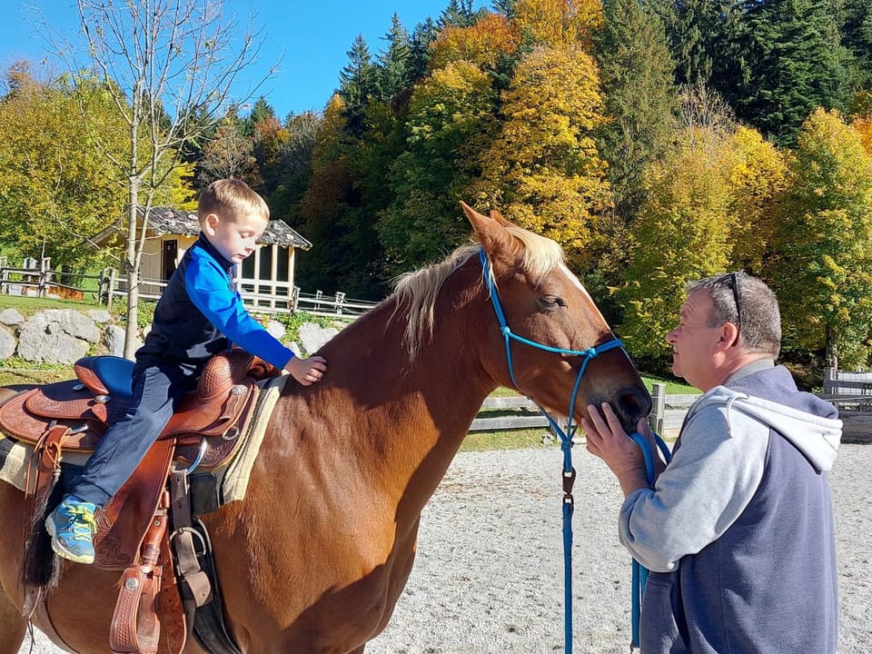 Grubhof Appartements Apartment hotel in Ellmau