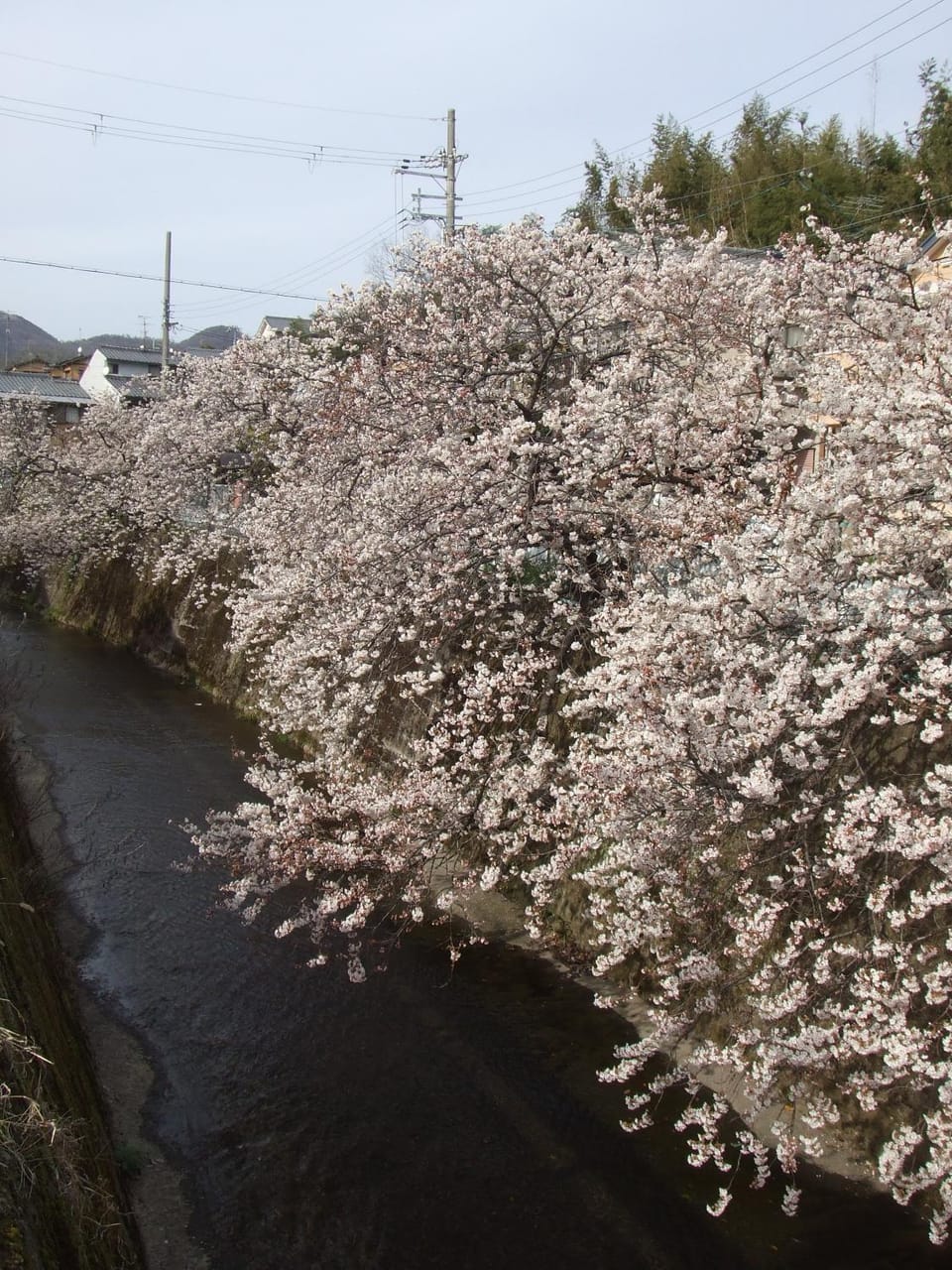 Spring, Natural landscape