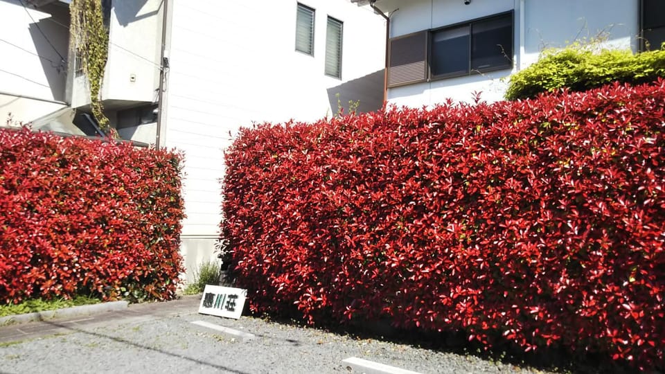 Property building, Spring, Autumn