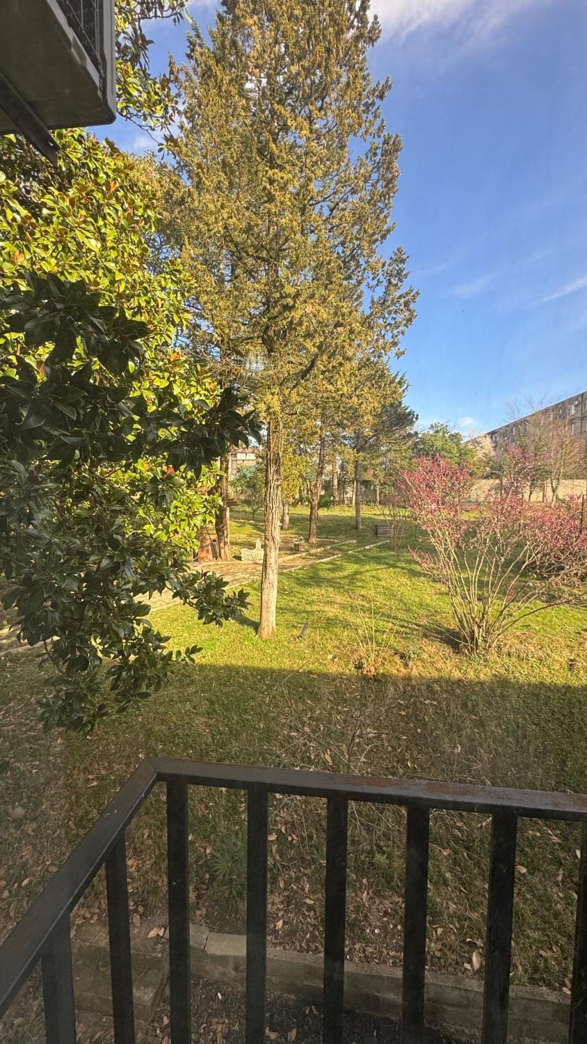 Spring, Natural landscape, Garden, Garden view